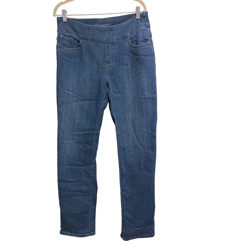 Bluberry Denim Pull-On Straight Leg Medium Wash Jeans Stretch Size 14